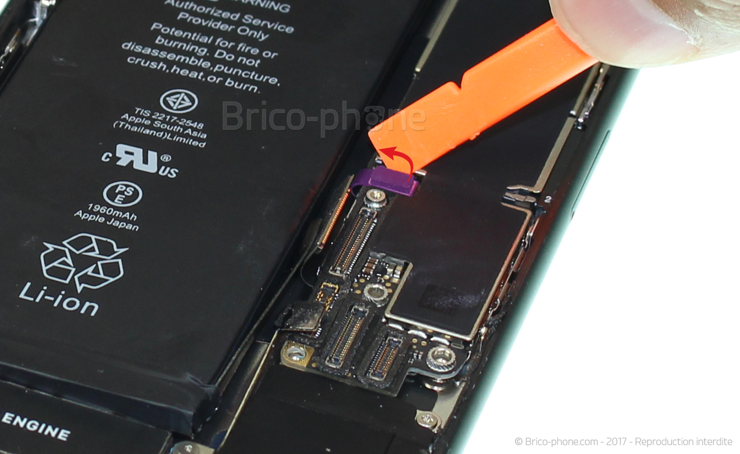 Changement du haut-parleur externe sur iPhone 8 photo 2