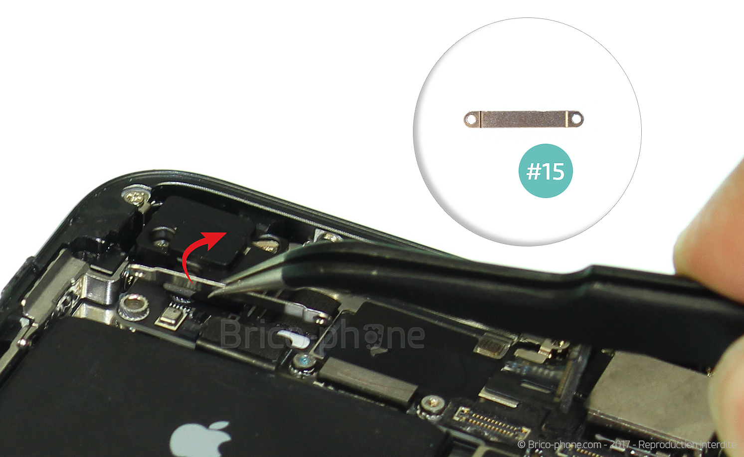 Changement du haut-parleur externe sur iPhone 8 photo 2