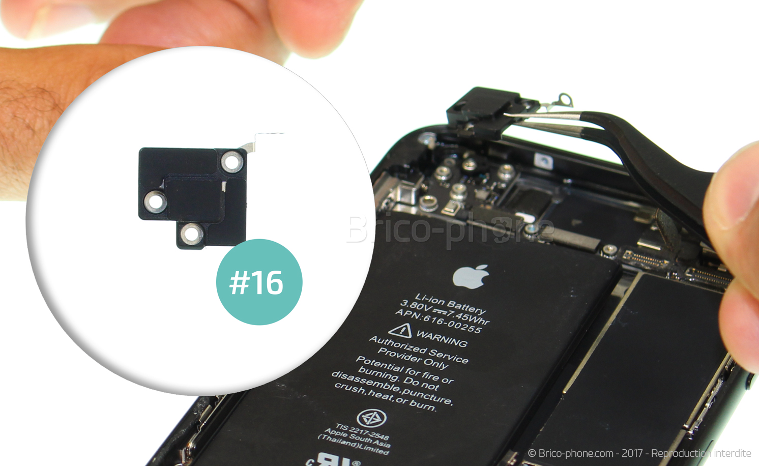 Changement du haut-parleur externe sur iPhone 8 photo 3