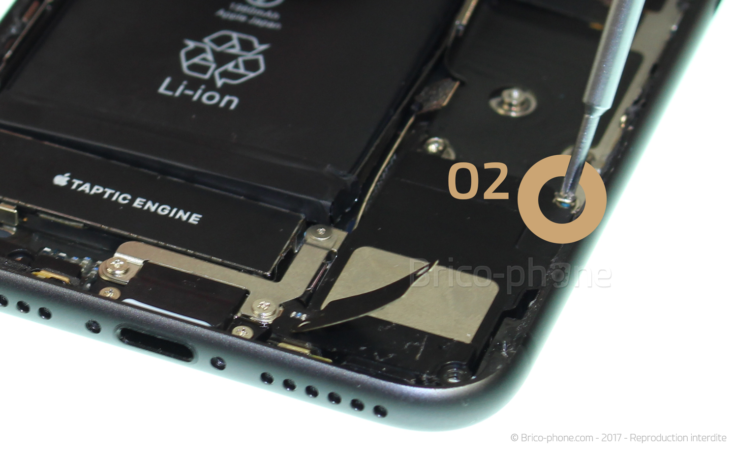 Changement du haut-parleur externe sur iPhone 8 photo 1