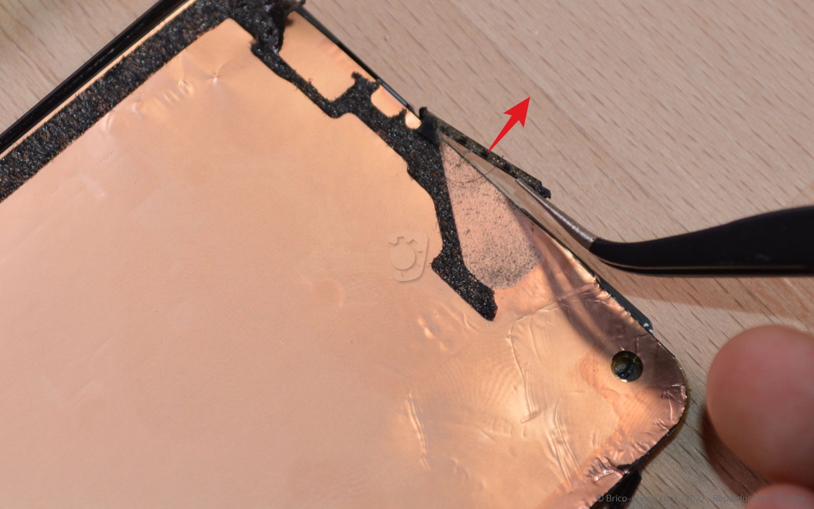 Démontage complet sur Find X2 Pro photo 4