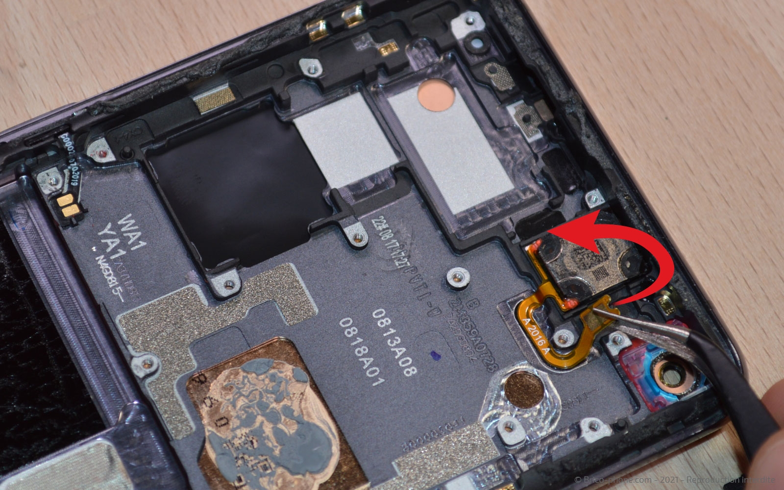 Démontage complet sur Find X2 Pro photo 1