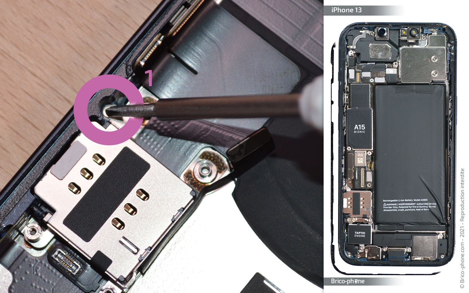 Guide de réparation sur iPhone 13 photo 1