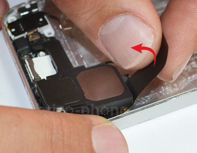 Changement de coque arrière sur iPhone 5 photo 1