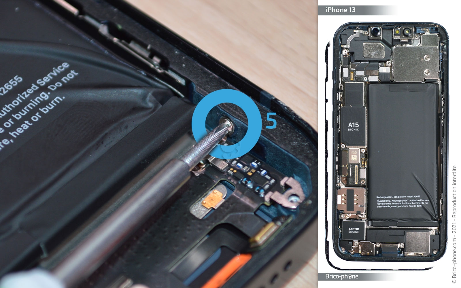 Changement du connecteur de charge sur iPhone 13 photo 1