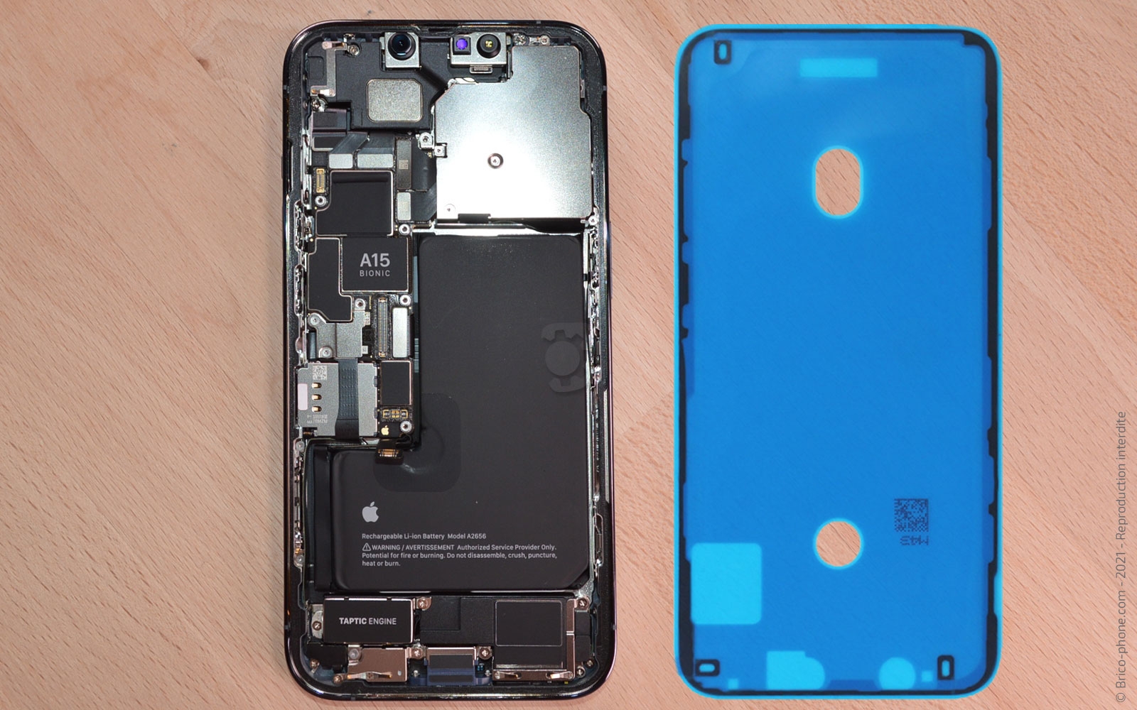 Remplacement du Taptic Engine (vibreur) sur iPhone 13 Pro photo 1