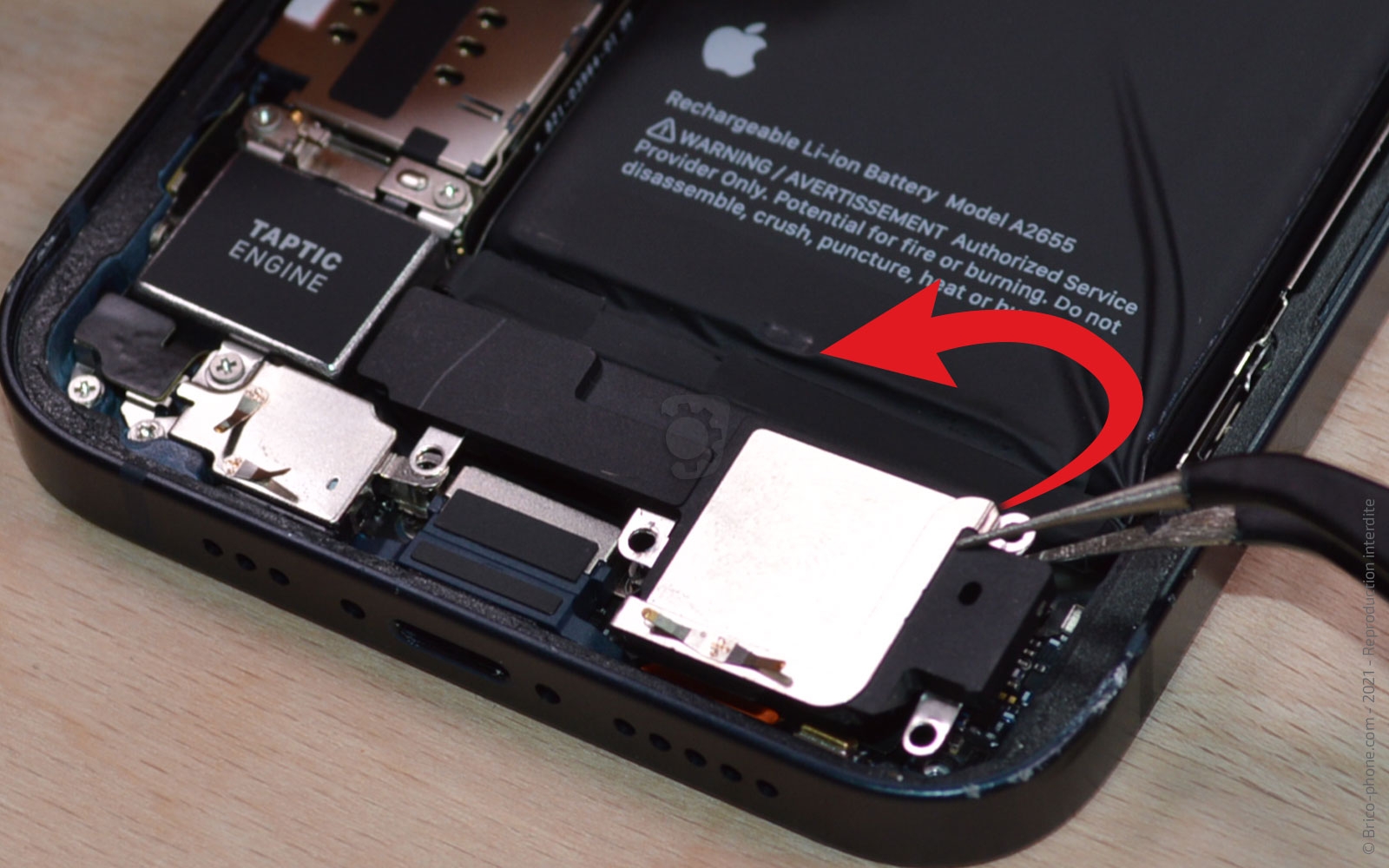 Changement du haut-parleur externe sur iPhone 13 photo 2