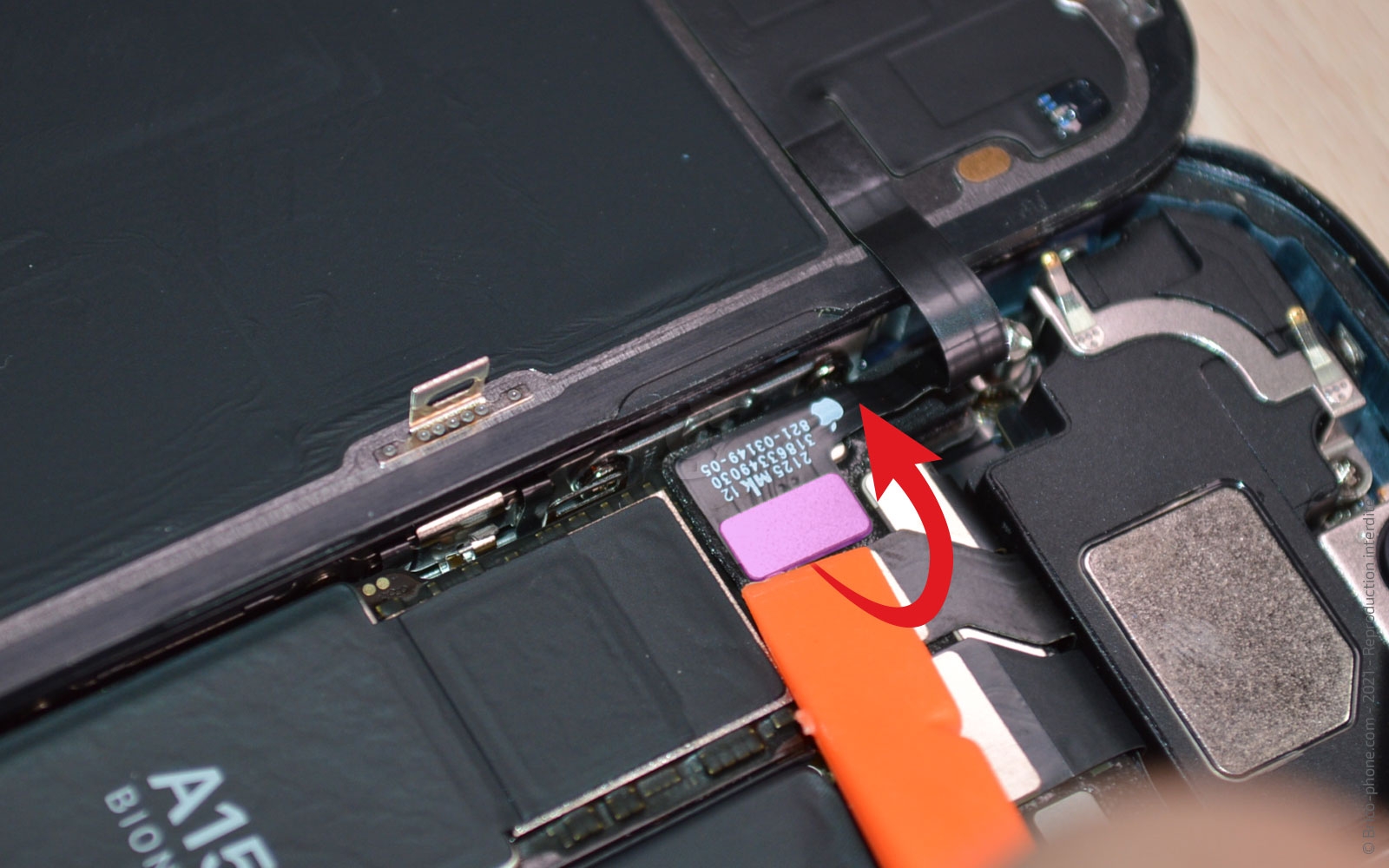 Changement du haut-parleur externe sur iPhone 13 photo 1