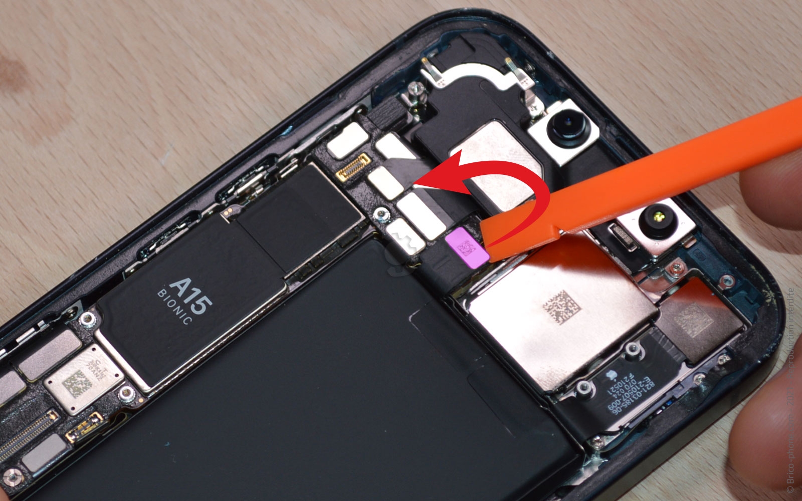 Changement du module des caméras arrière sur iPhone 13 photo 1