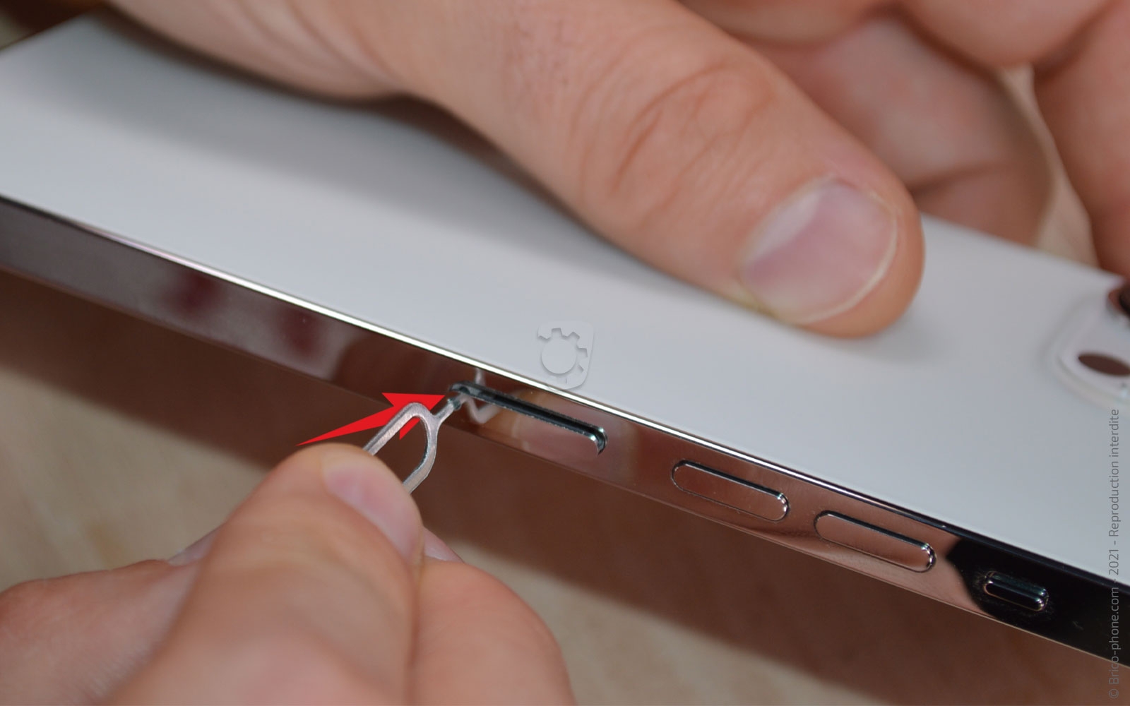 Comment remplacer le Taptic Engine (vibreur) sur iPhone 13 Pro Max photo 1