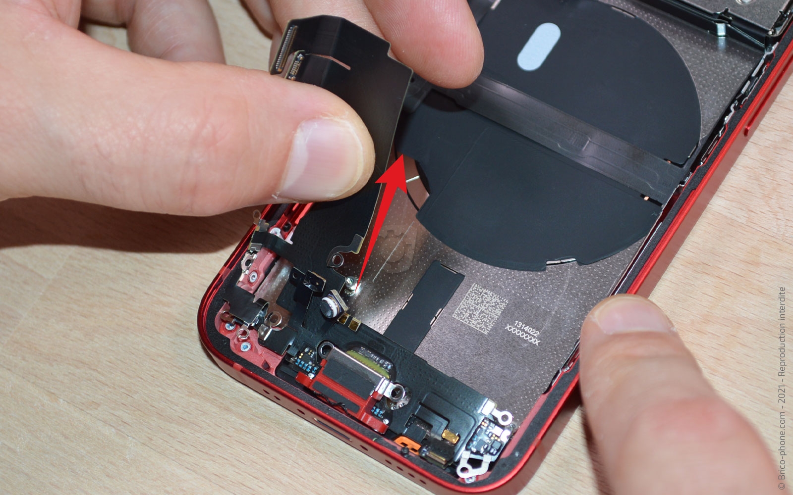 Démontage complet sur iPhone 13 Mini photo 3