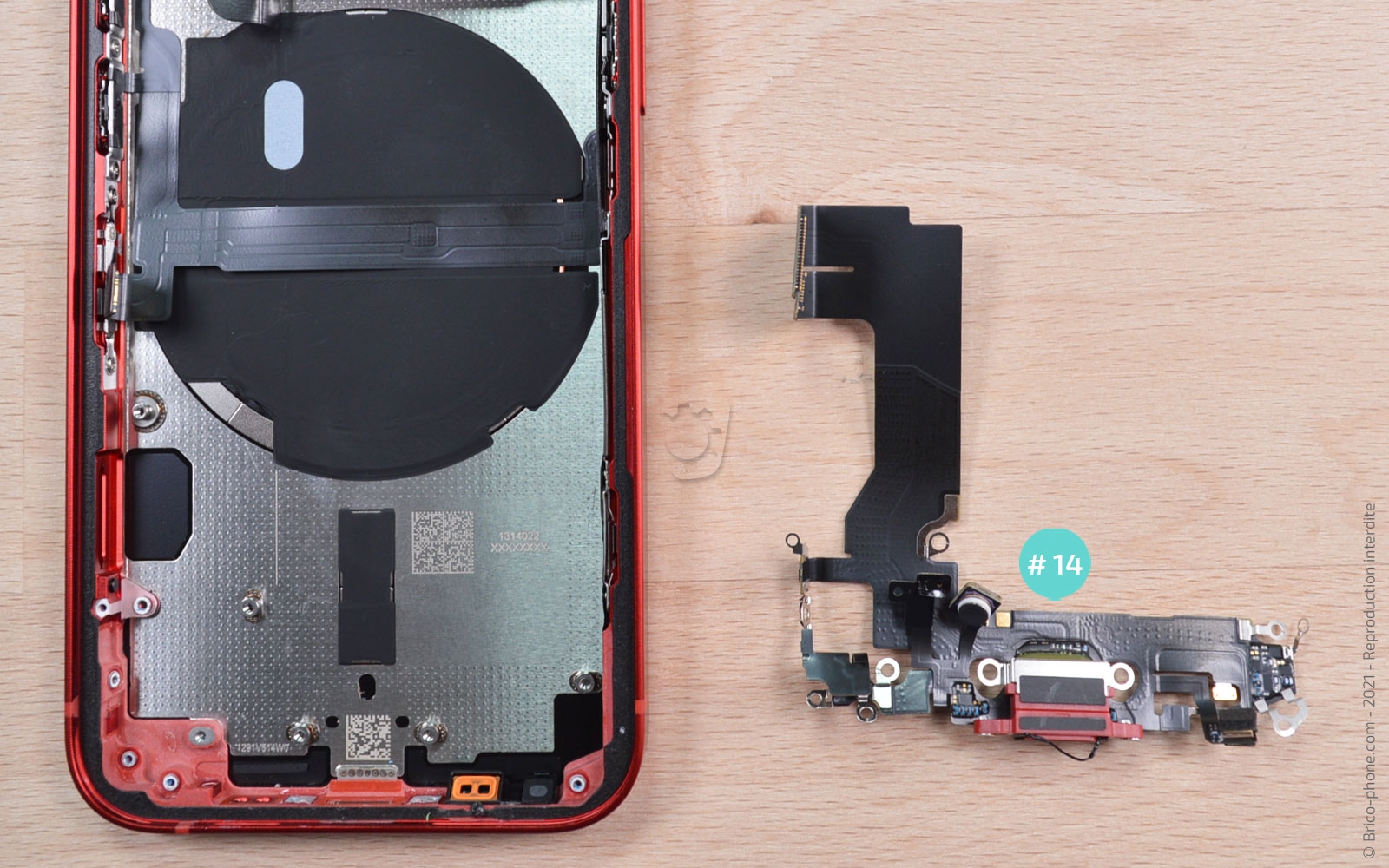 Démontage complet sur iPhone 13 Mini photo 4