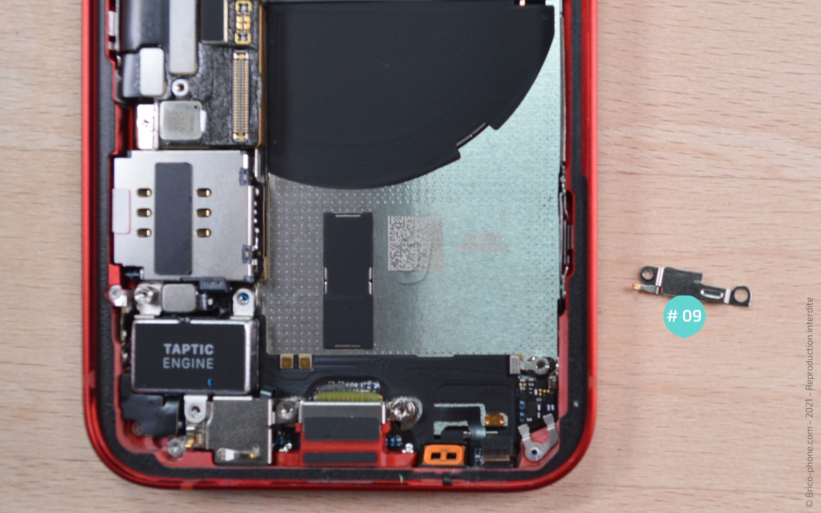 Démontage complet sur iPhone 13 Mini photo 3