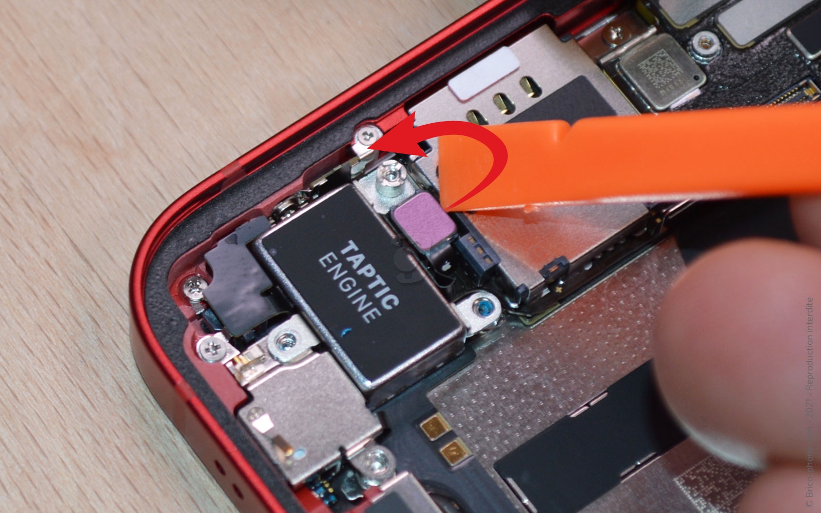 Démontage complet sur iPhone 13 Mini photo 4