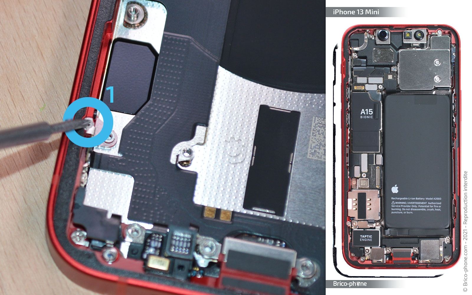 Démontage complet sur iPhone 13 Mini photo 2