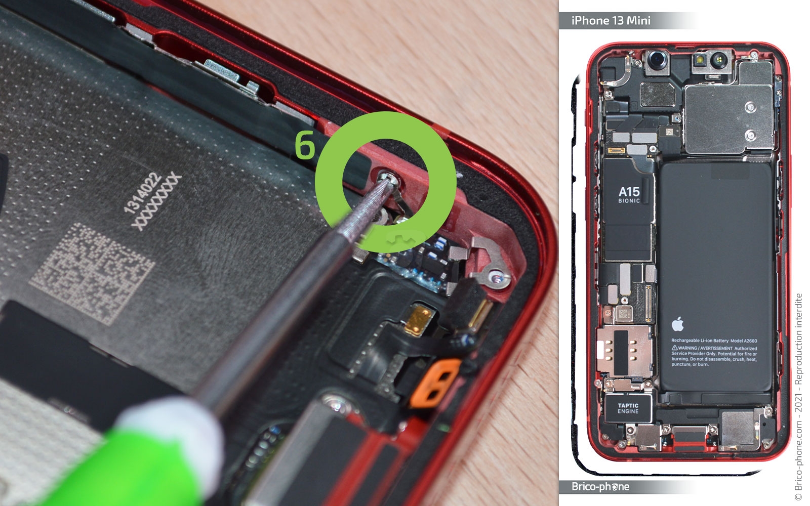 Démontage complet sur iPhone 13 Mini photo 3