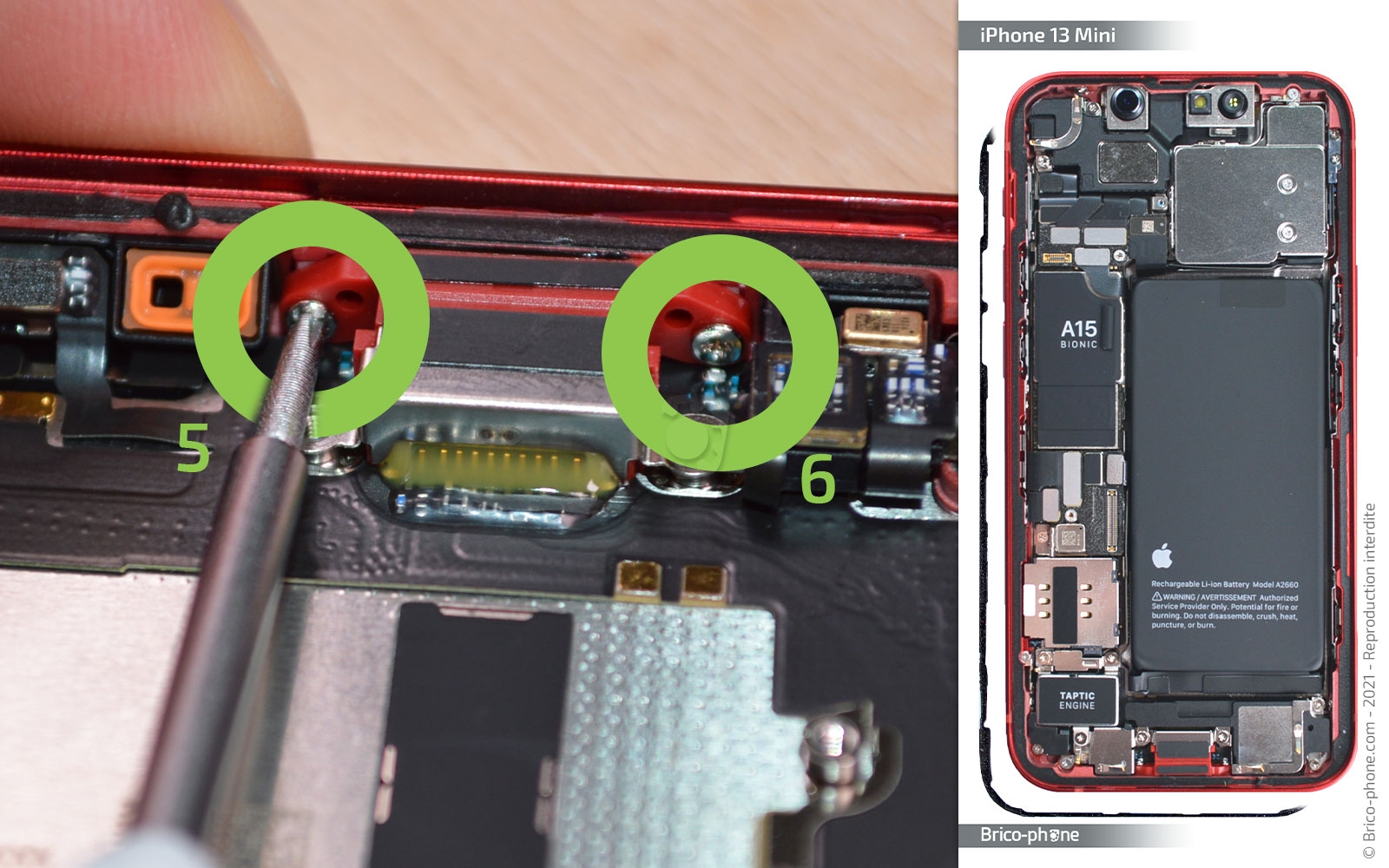 Démontage complet sur iPhone 13 Mini photo 4