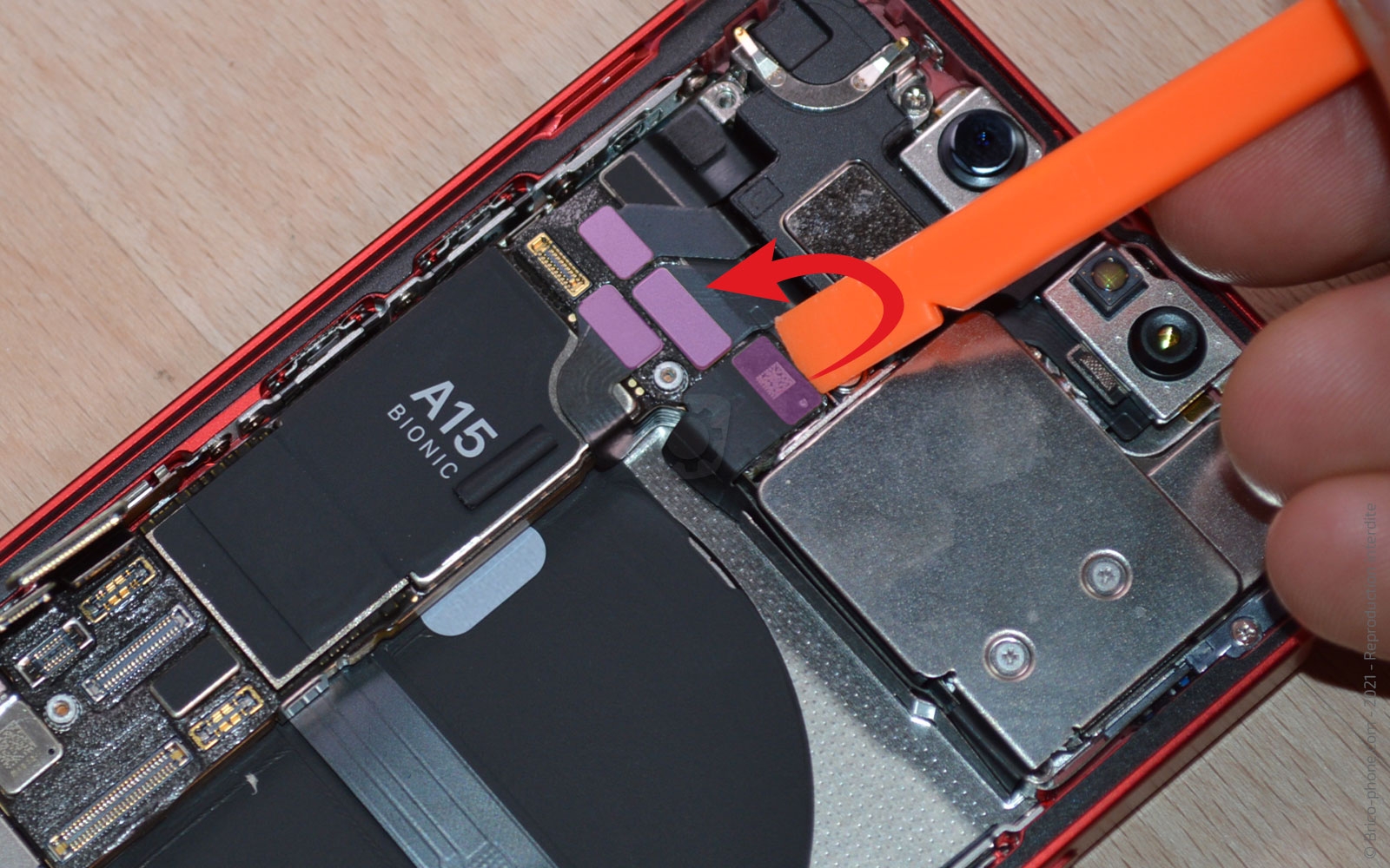 Démontage complet sur iPhone 13 Mini photo 1