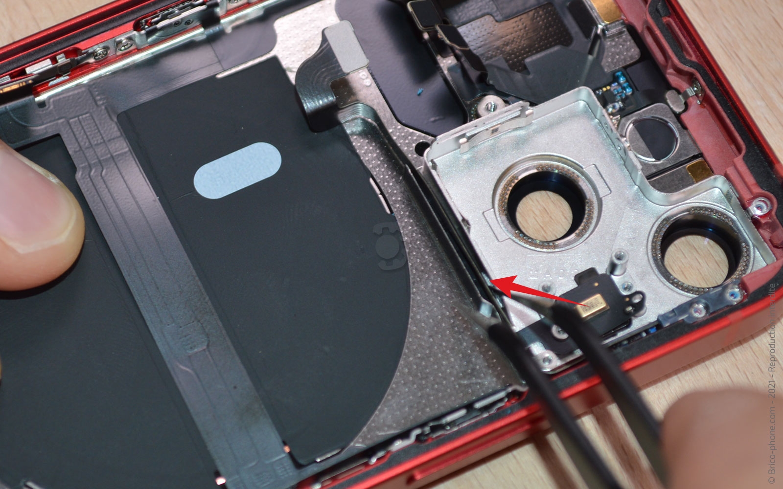 Démontage complet sur iPhone 13 Mini photo 3