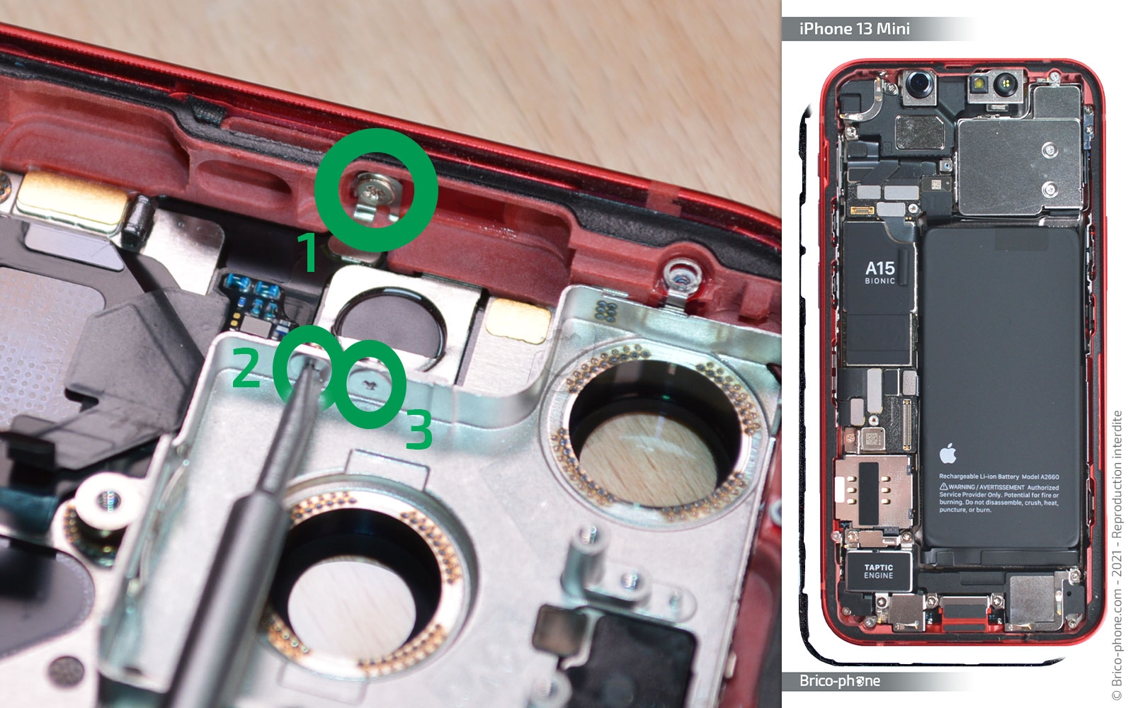 Démontage complet sur iPhone 13 Mini photo 1