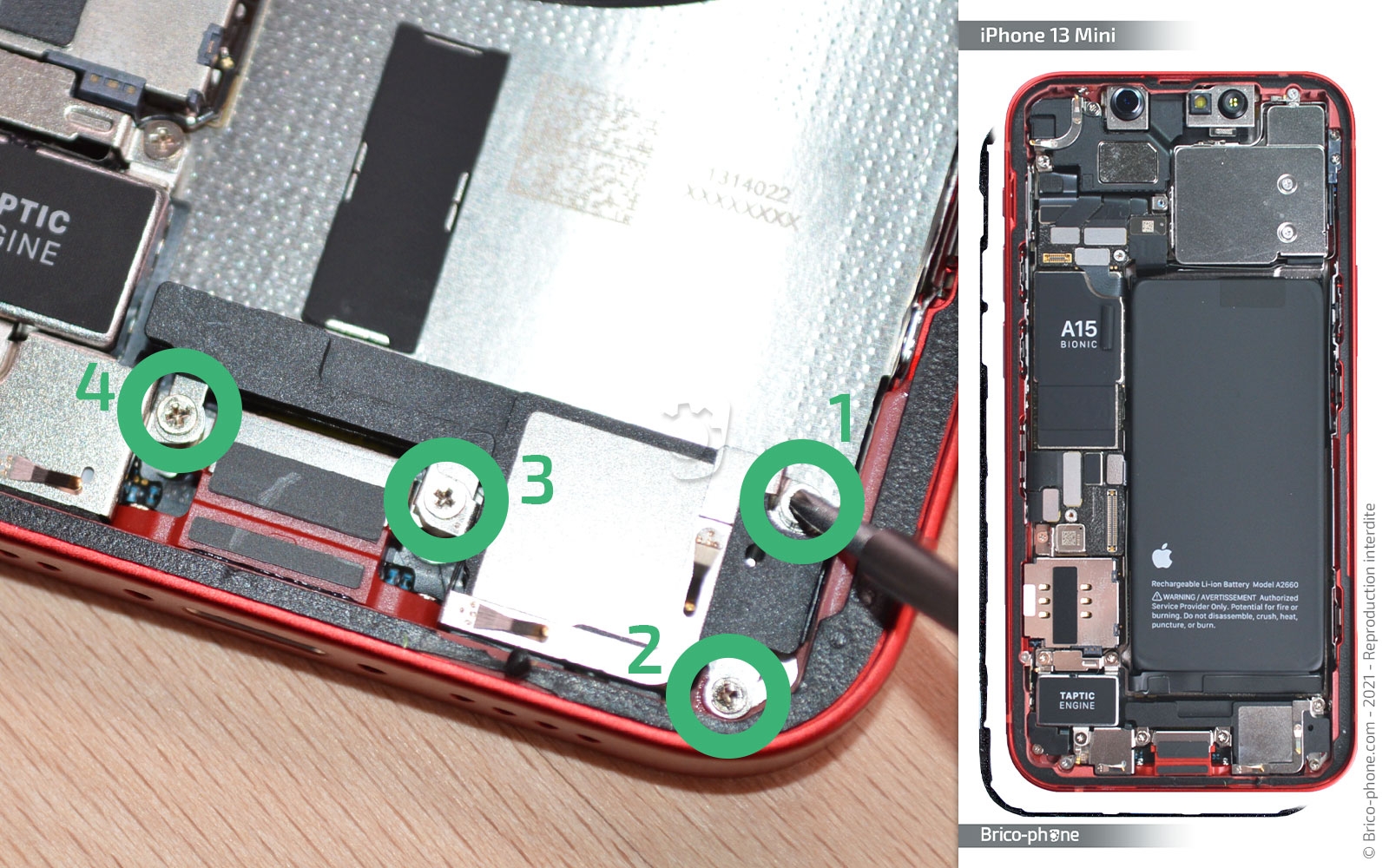 Démontage complet sur iPhone 13 Mini photo 1