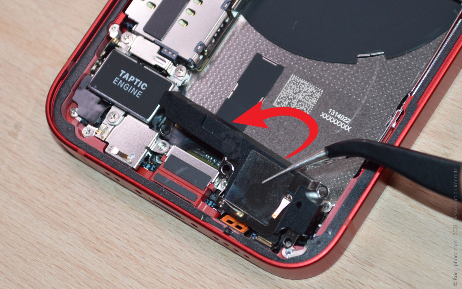 Démontage complet sur iPhone 13 Mini photo 2