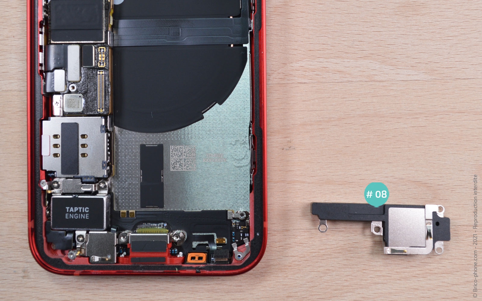 Démontage complet sur iPhone 13 Mini photo 3