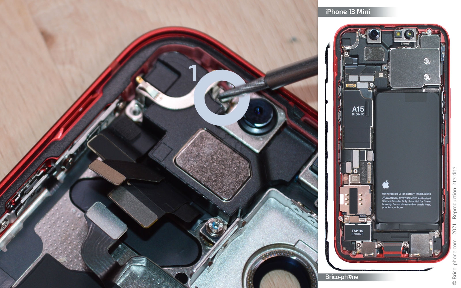 Démontage complet sur iPhone 13 Mini photo 1