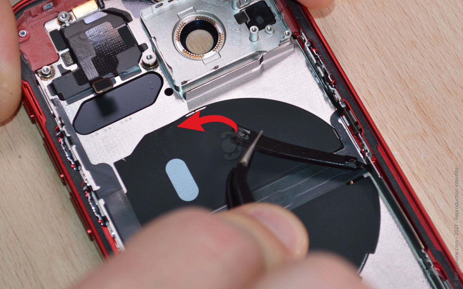 Démontage complet sur iPhone 13 Mini photo 1