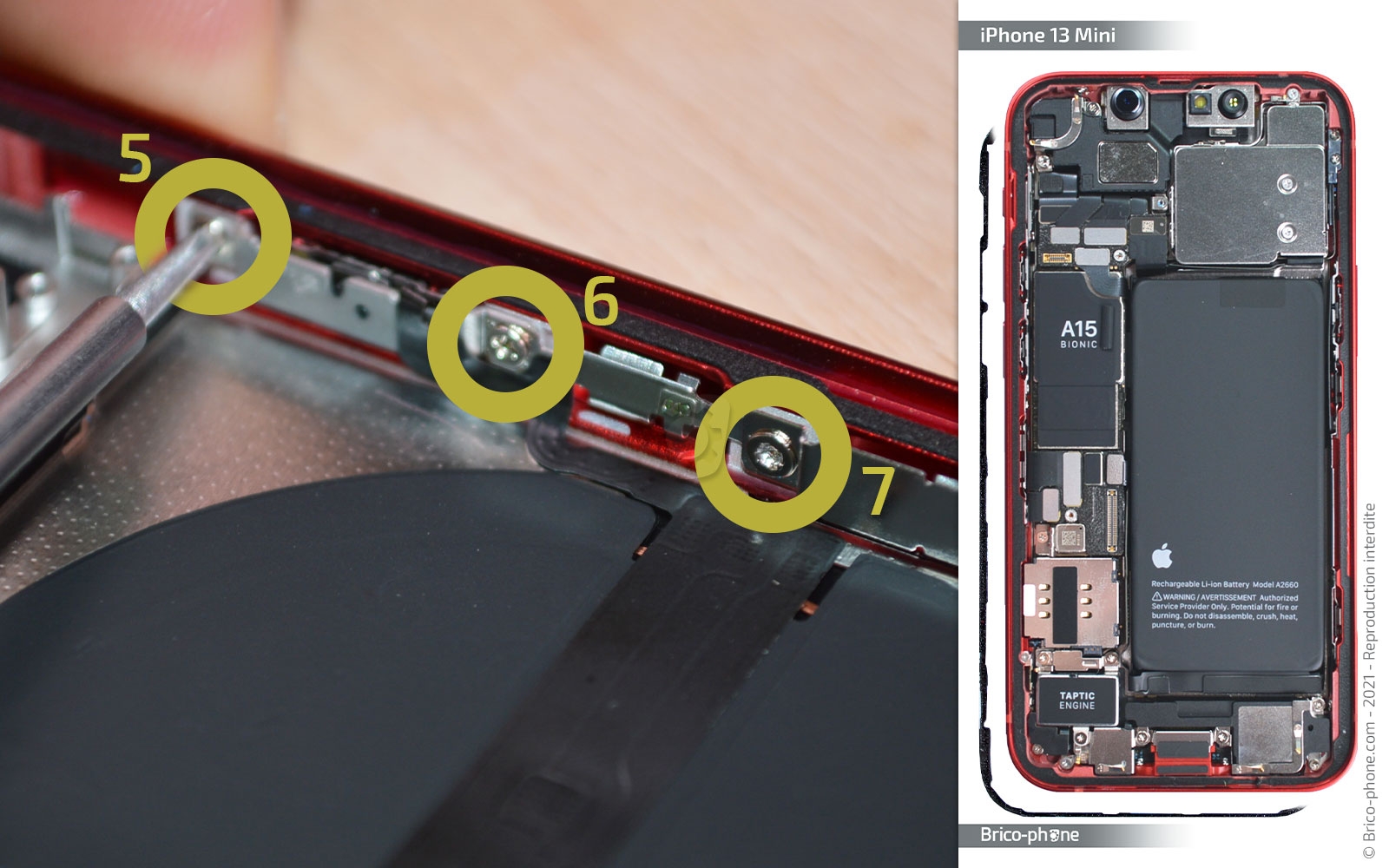 Démontage complet sur iPhone 13 Mini photo 2