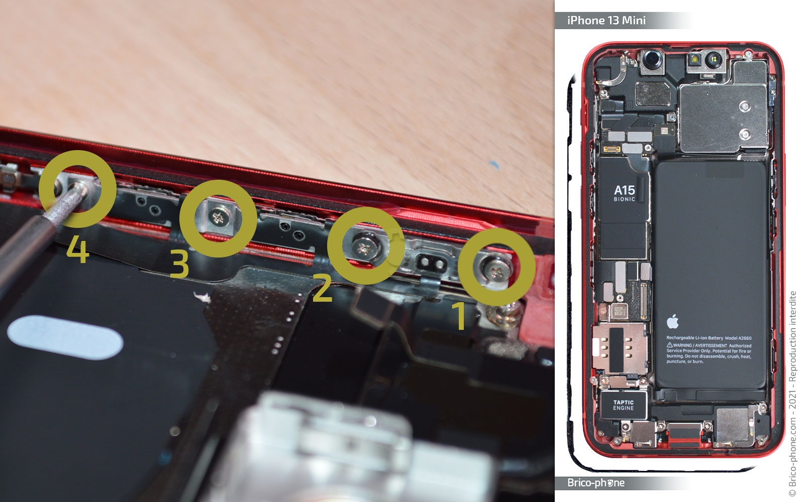 Démontage complet sur iPhone 13 Mini photo 3