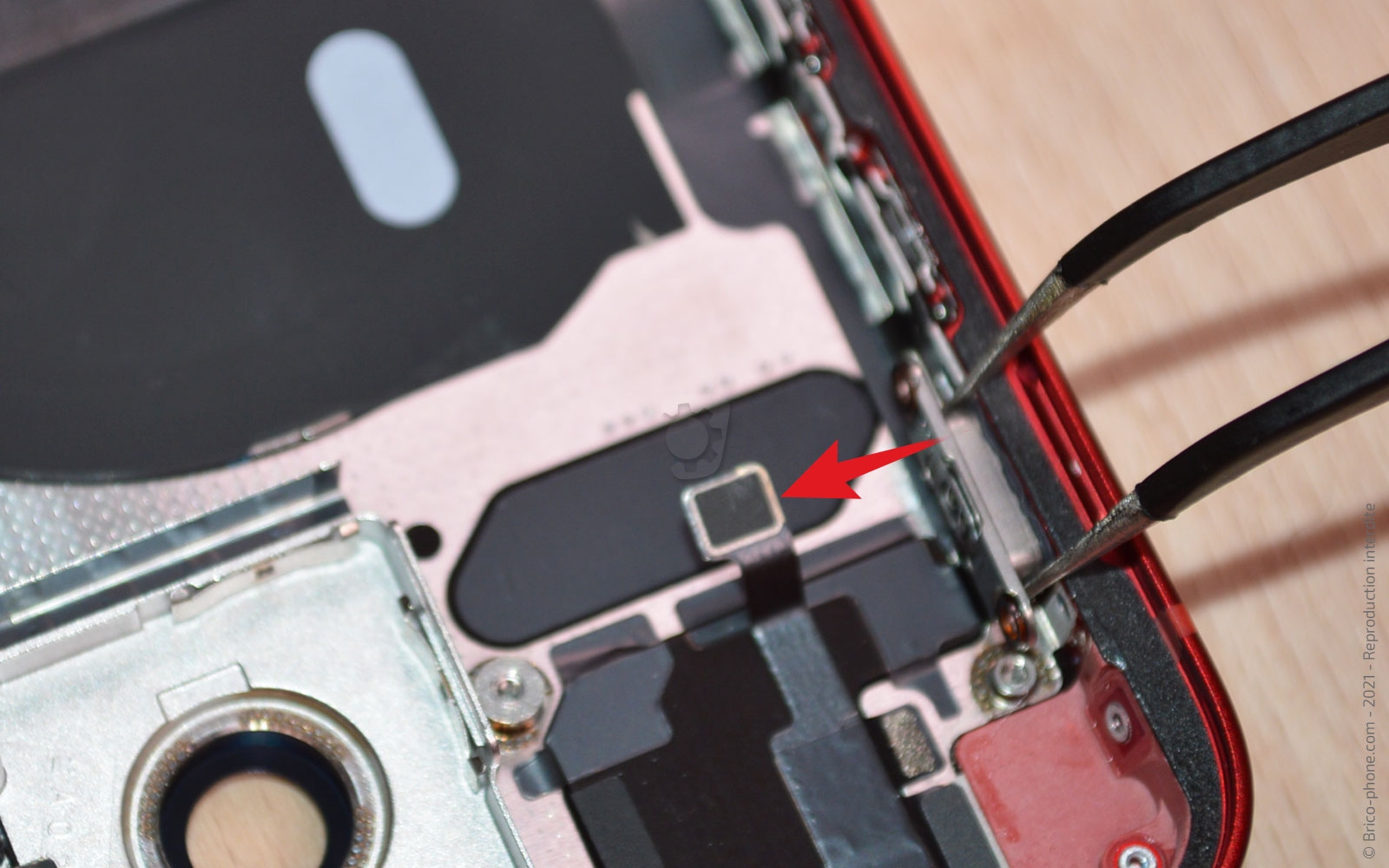 Démontage complet sur iPhone 13 Mini photo 4