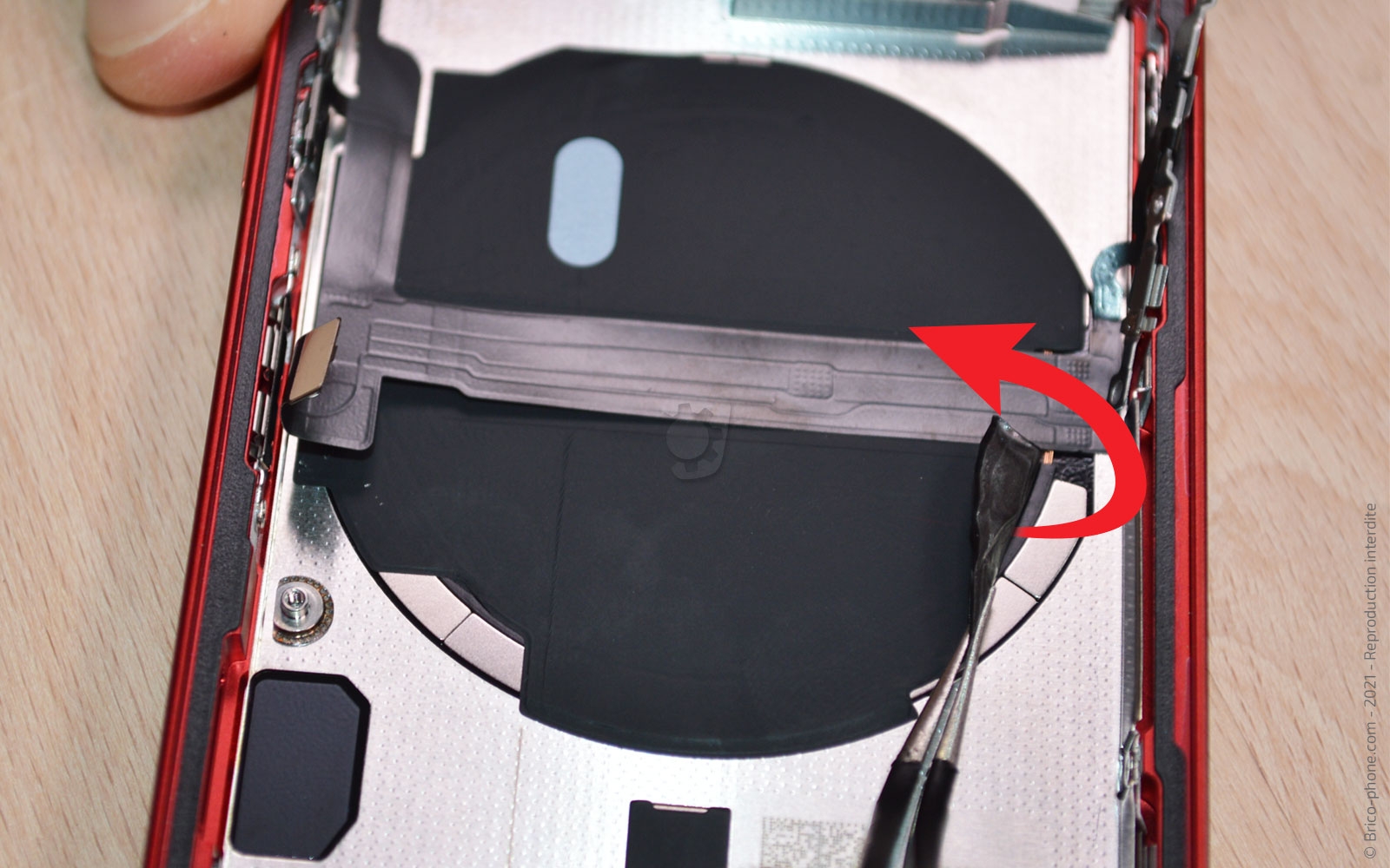 Démontage complet sur iPhone 13 Mini photo 1