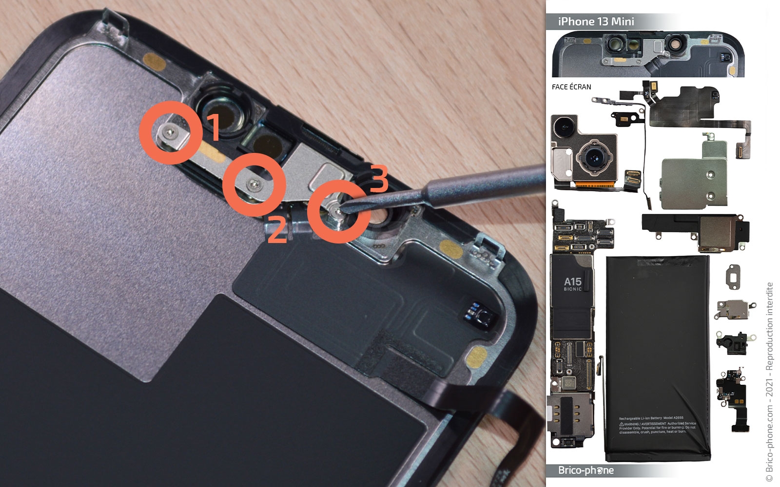 Changement d'écran (vitre + Oled) sur iPhone 13 Mini photo 1