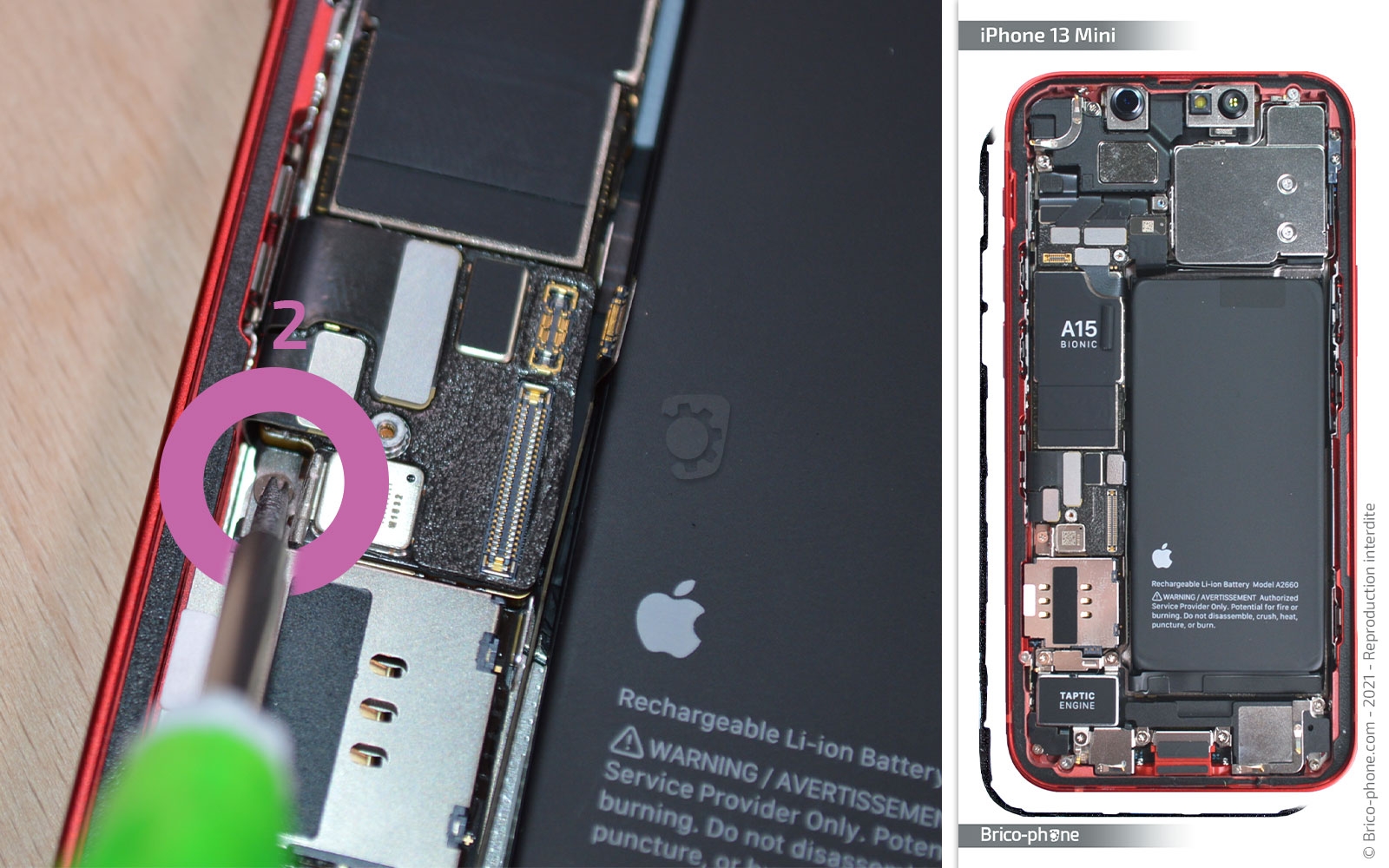 Changement du connecteur de charge sur iPhone 13 Mini photo 1