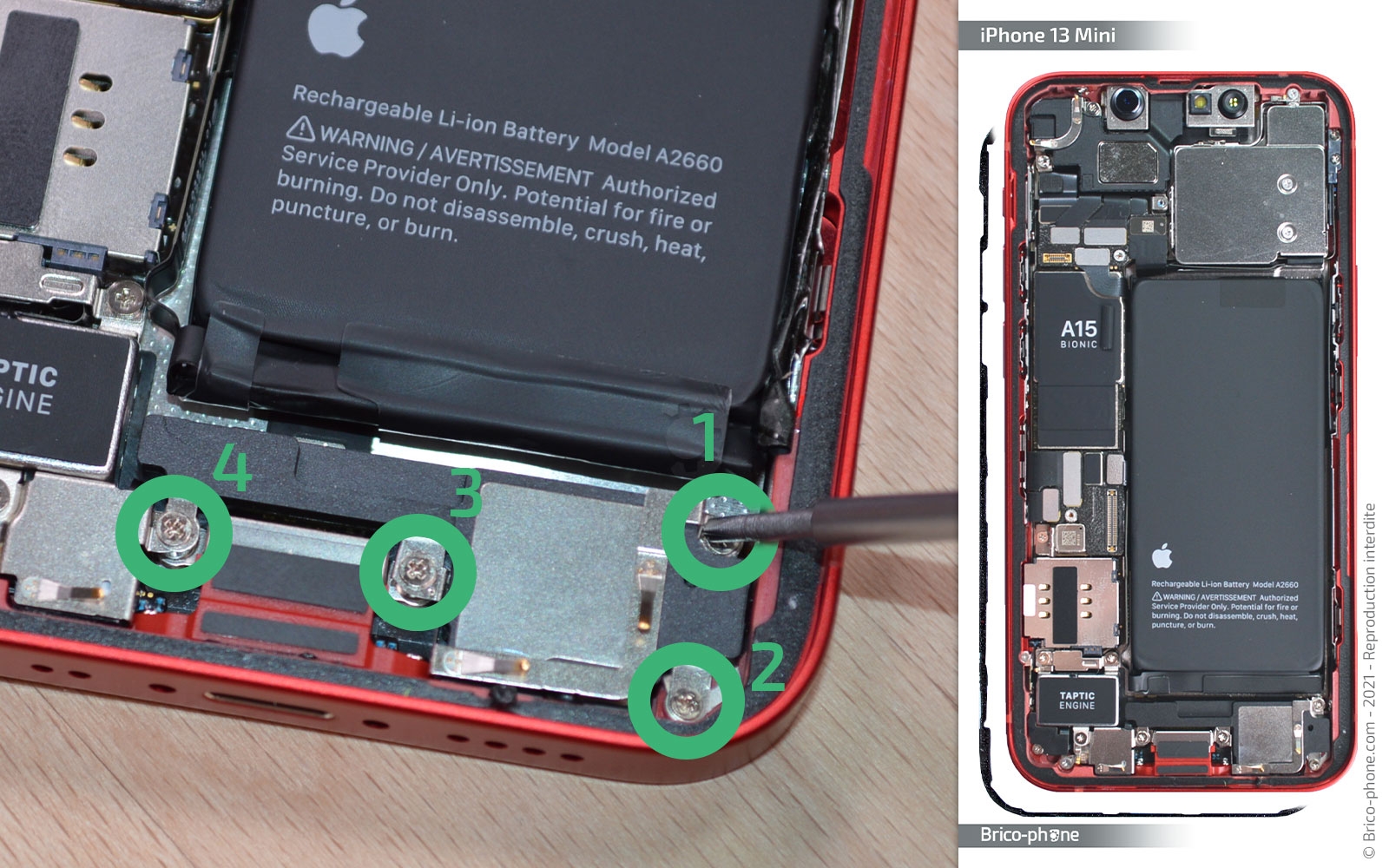 Changement du connecteur de charge sur iPhone 13 Mini photo 1