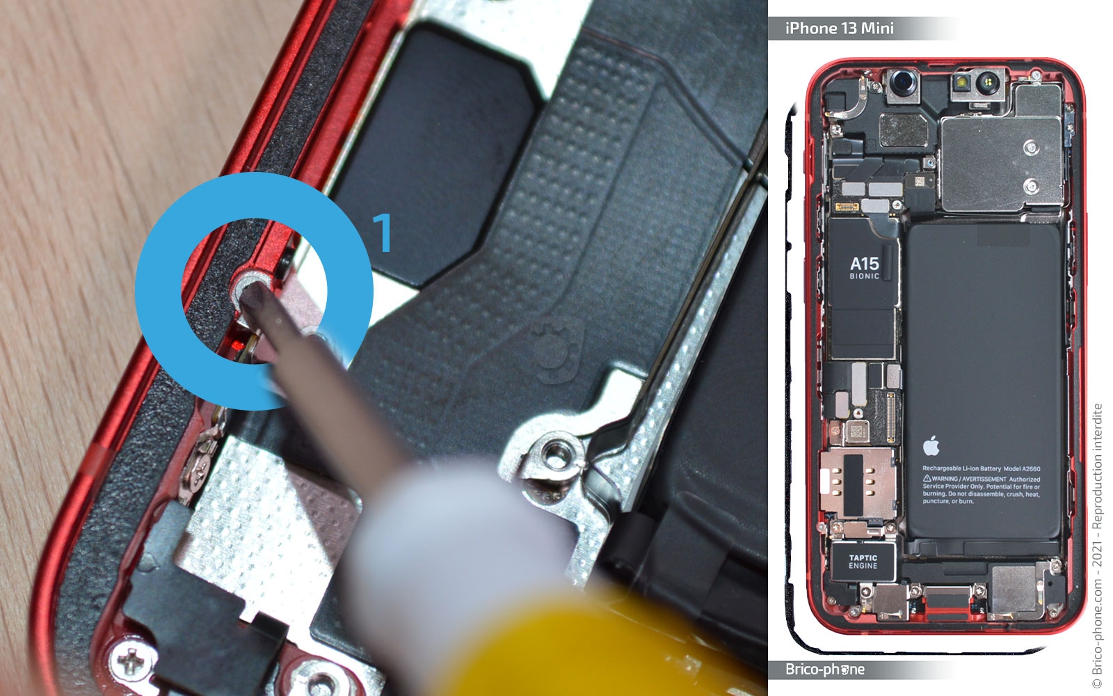 Changement du connecteur de charge sur iPhone 13 Mini photo 1