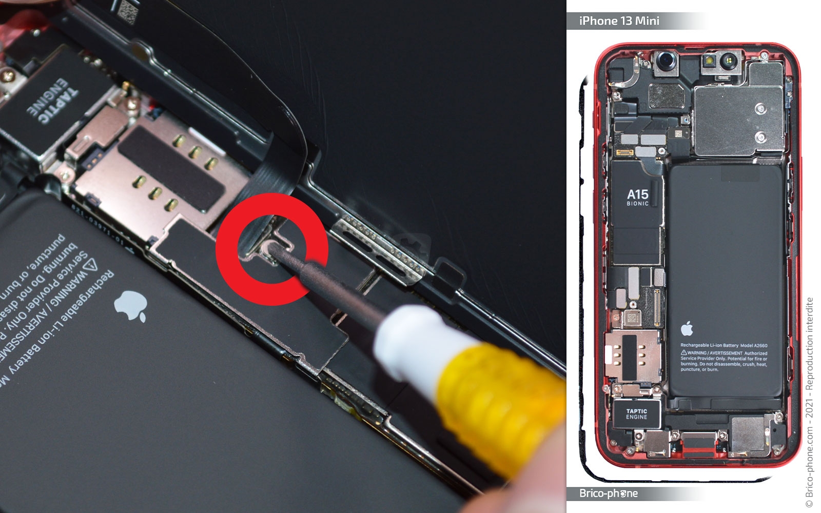 Changement du connecteur de charge sur iPhone 13 Mini photo 1