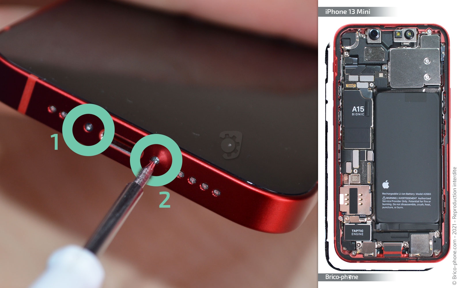 Changement du haut-parleur externe sur iPhone 13 Mini photo 1