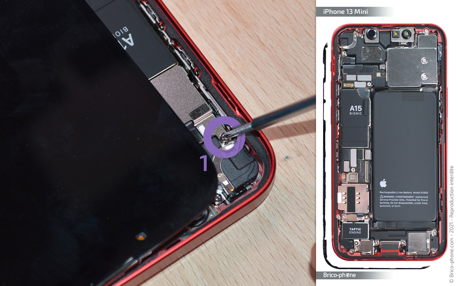 Changement du haut-parleur externe sur iPhone 13 Mini photo 2