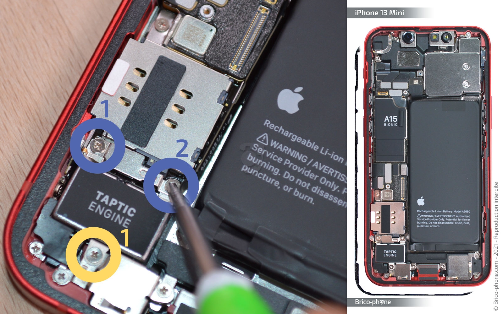 Changement du vibreur (Taptic Engine) sur iPhone 13 Mini photo 1