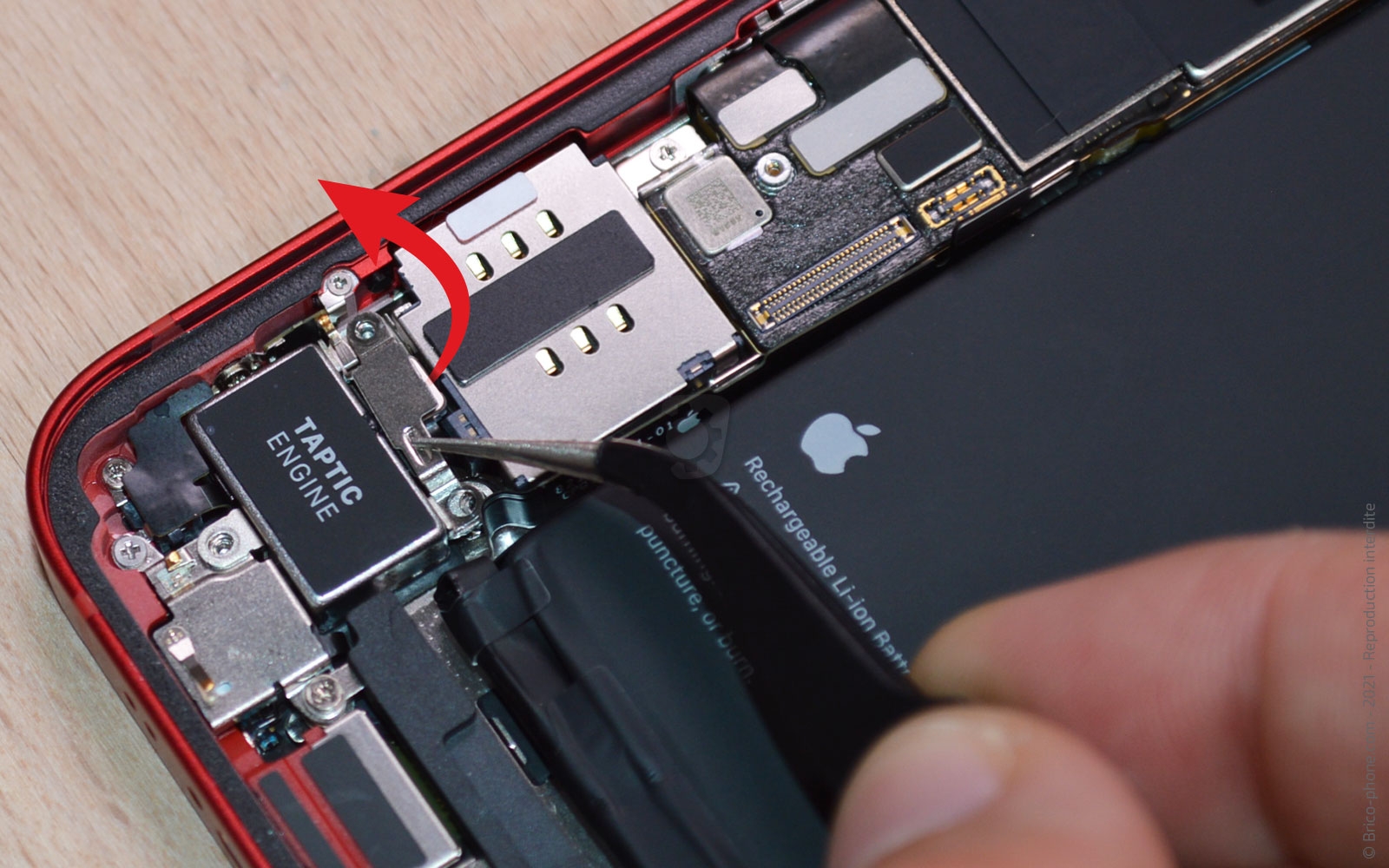 Changement du vibreur (Taptic Engine) sur iPhone 13 Mini photo 2