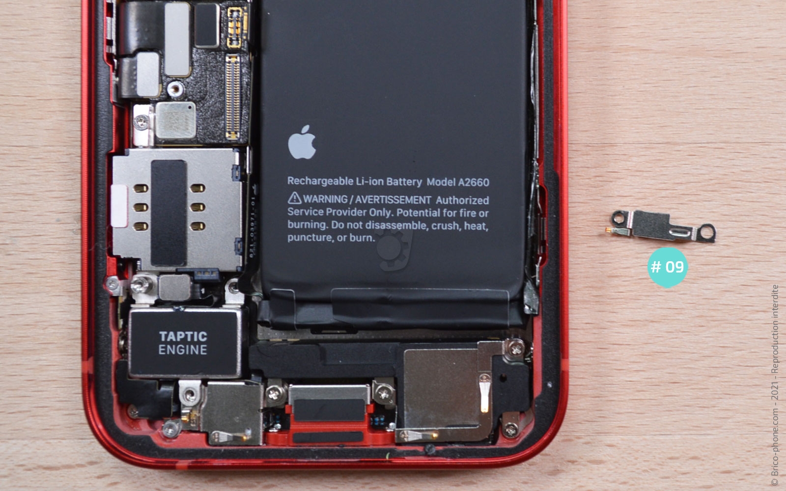 Changement du vibreur (Taptic Engine) sur iPhone 13 Mini photo 3