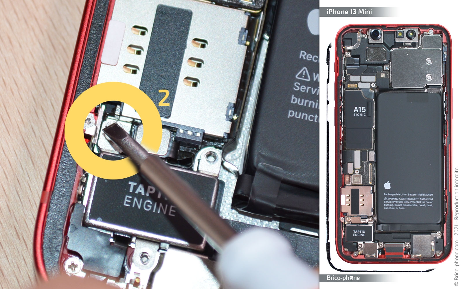 Changement du vibreur (Taptic Engine) sur iPhone 13 Mini photo 1