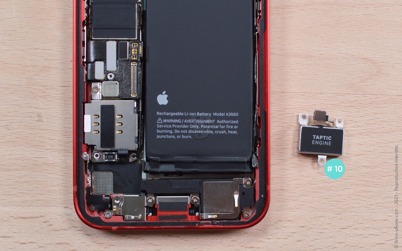Changement du vibreur (Taptic Engine) sur iPhone 13 Mini photo 4