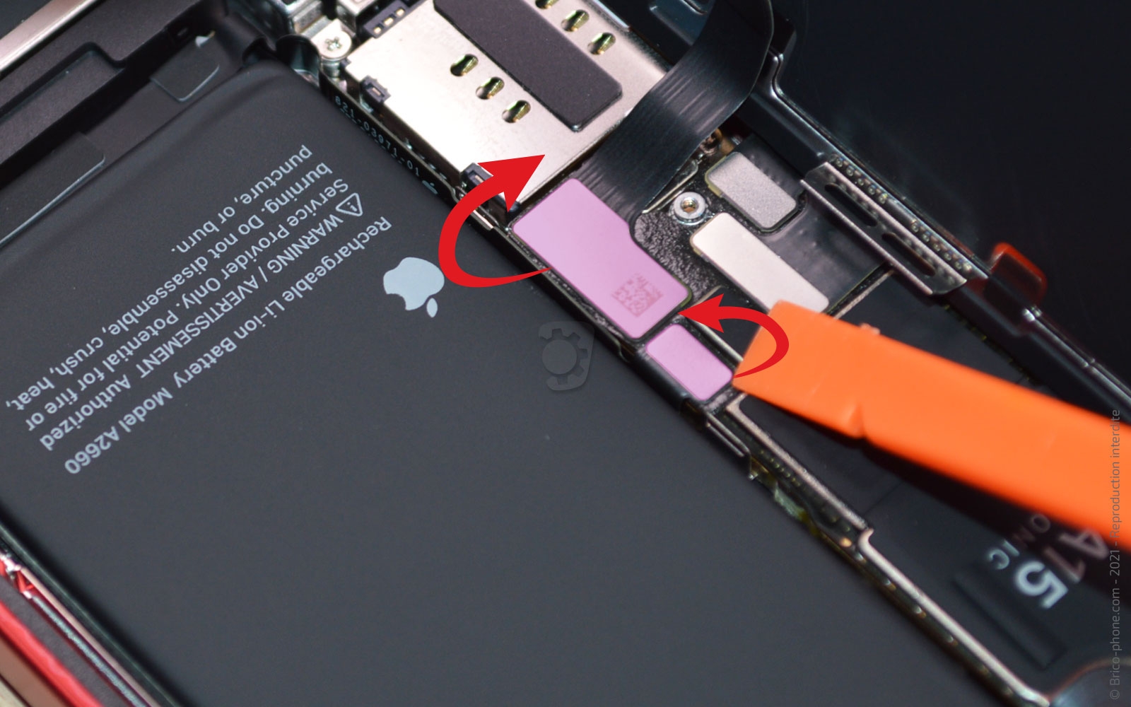 Changement du vibreur (Taptic Engine) sur iPhone 13 Mini photo 4