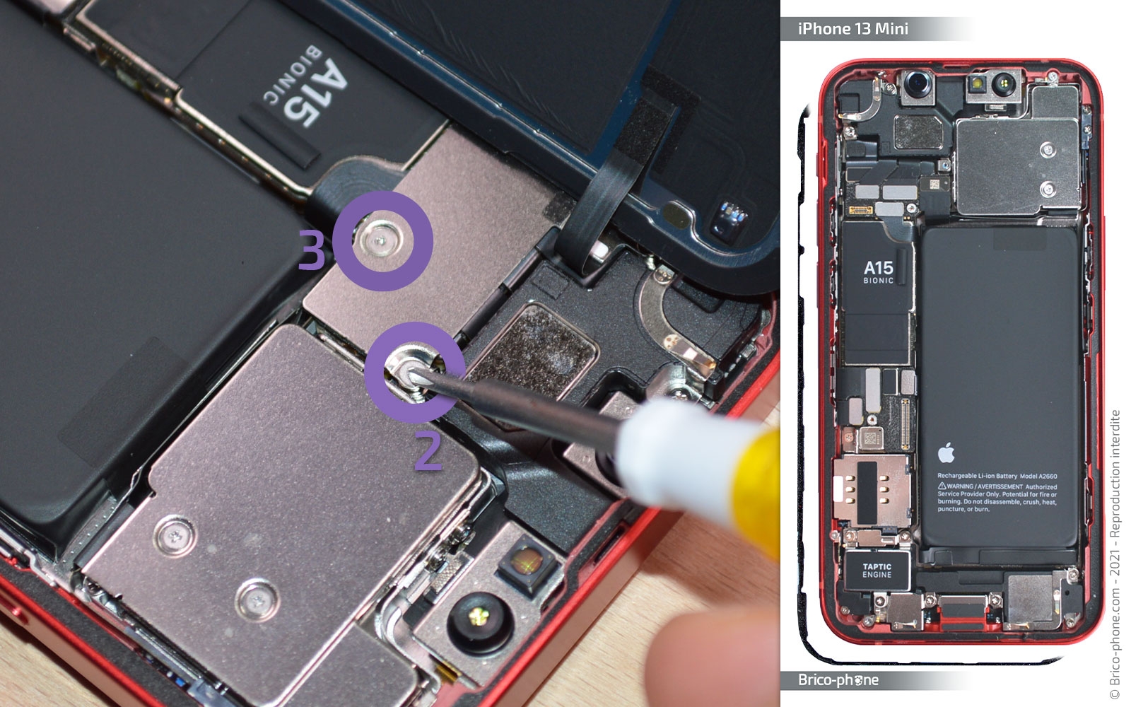Changement du vibreur (Taptic Engine) sur iPhone 13 Mini photo 1