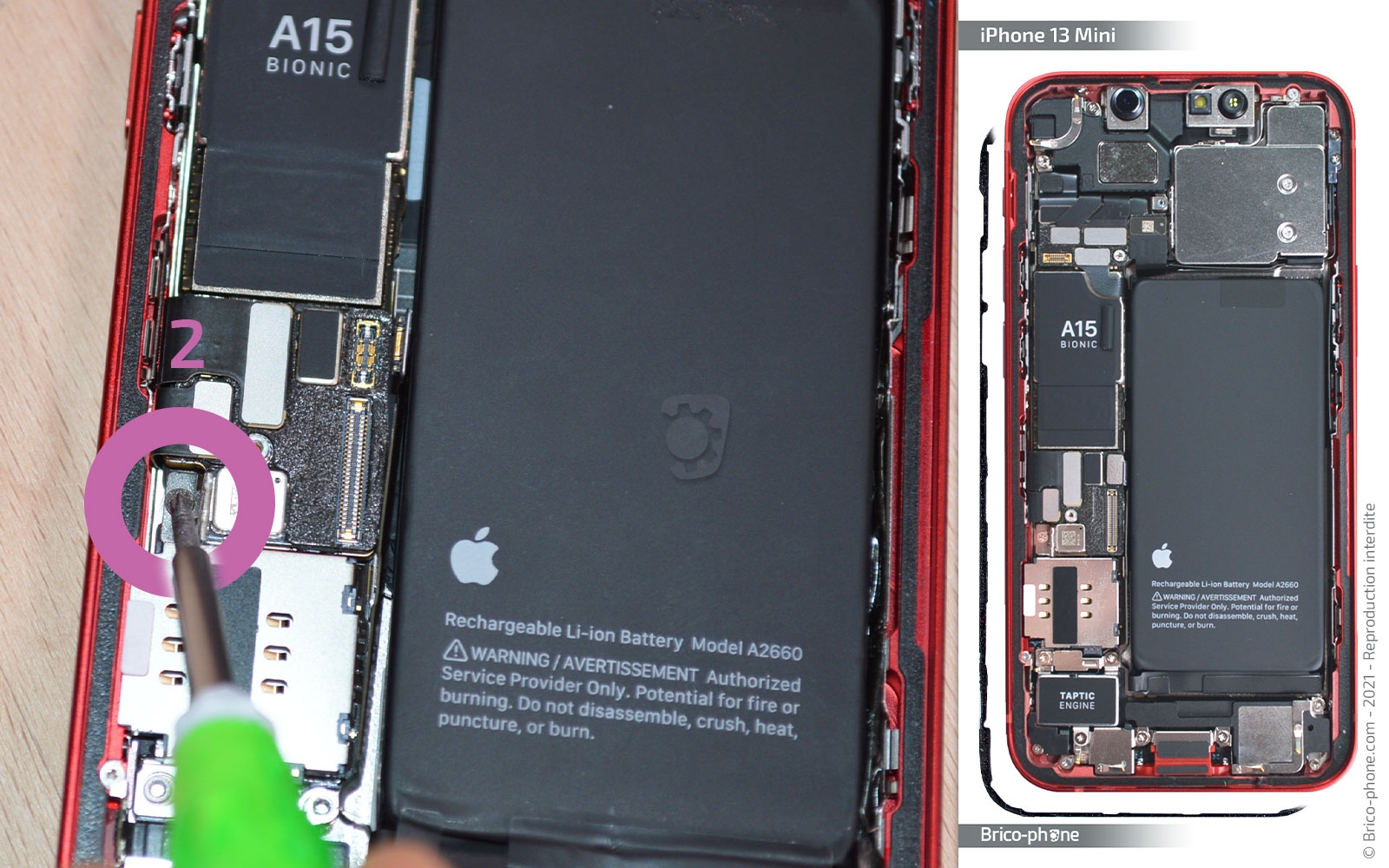 Changement haut-parleur interne et/ou caméra avant sur iPhone 13 Mini photo 1