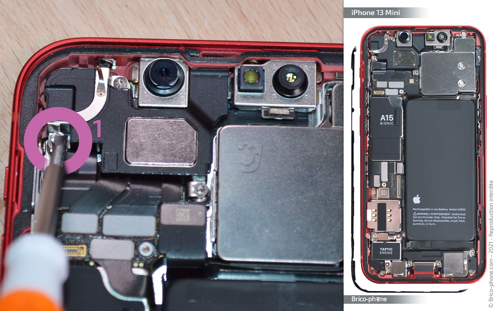 Changement haut-parleur interne et/ou caméra avant sur iPhone 13 Mini photo 2