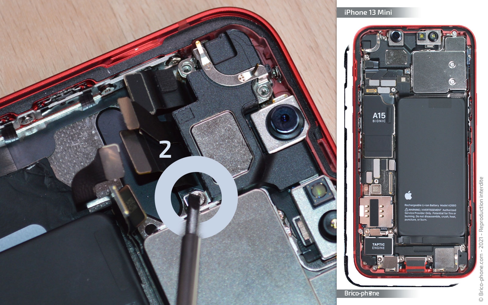 Changement haut-parleur interne et/ou caméra avant sur iPhone 13 Mini photo 2